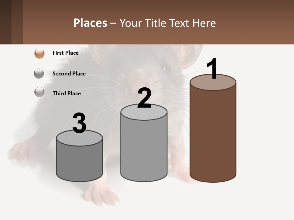 Mother Life Woman PowerPoint Template