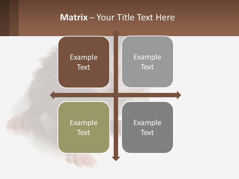 Mother Life Woman PowerPoint Template