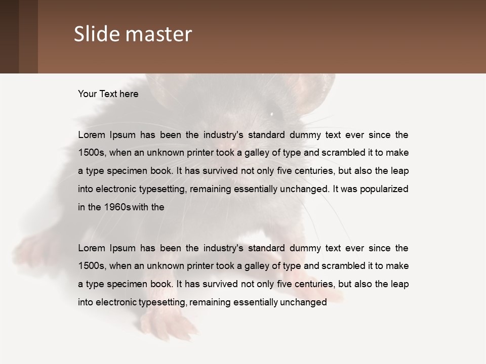 Mother Life Woman PowerPoint Template