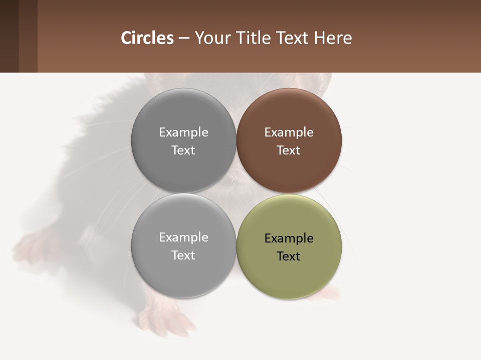 Mother Life Woman PowerPoint Template