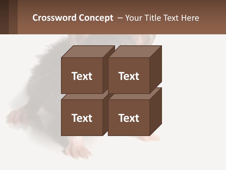 Mother Life Woman PowerPoint Template