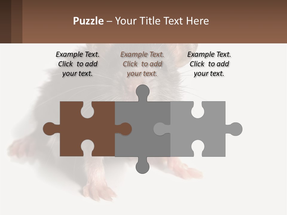 Mother Life Woman PowerPoint Template