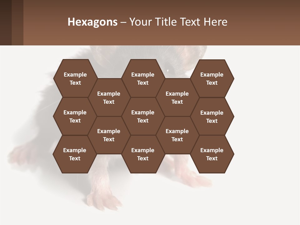 Mother Life Woman PowerPoint Template