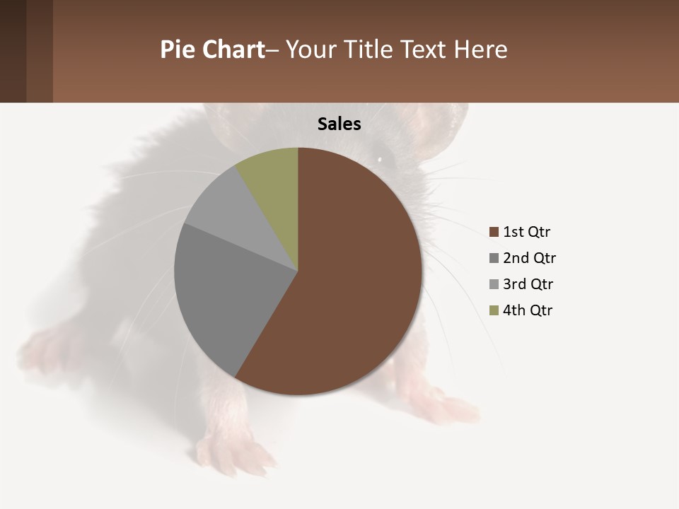 Mother Life Woman PowerPoint Template