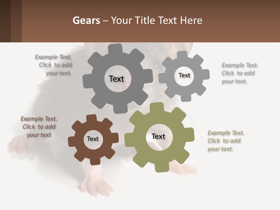 Mother Life Woman PowerPoint Template