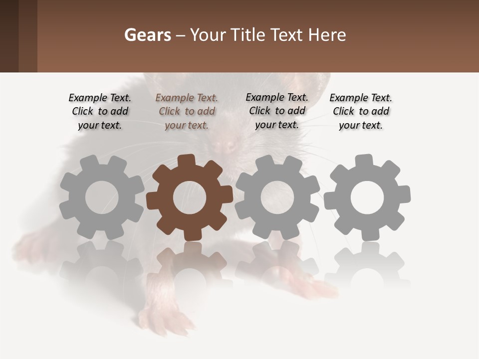 Mother Life Woman PowerPoint Template