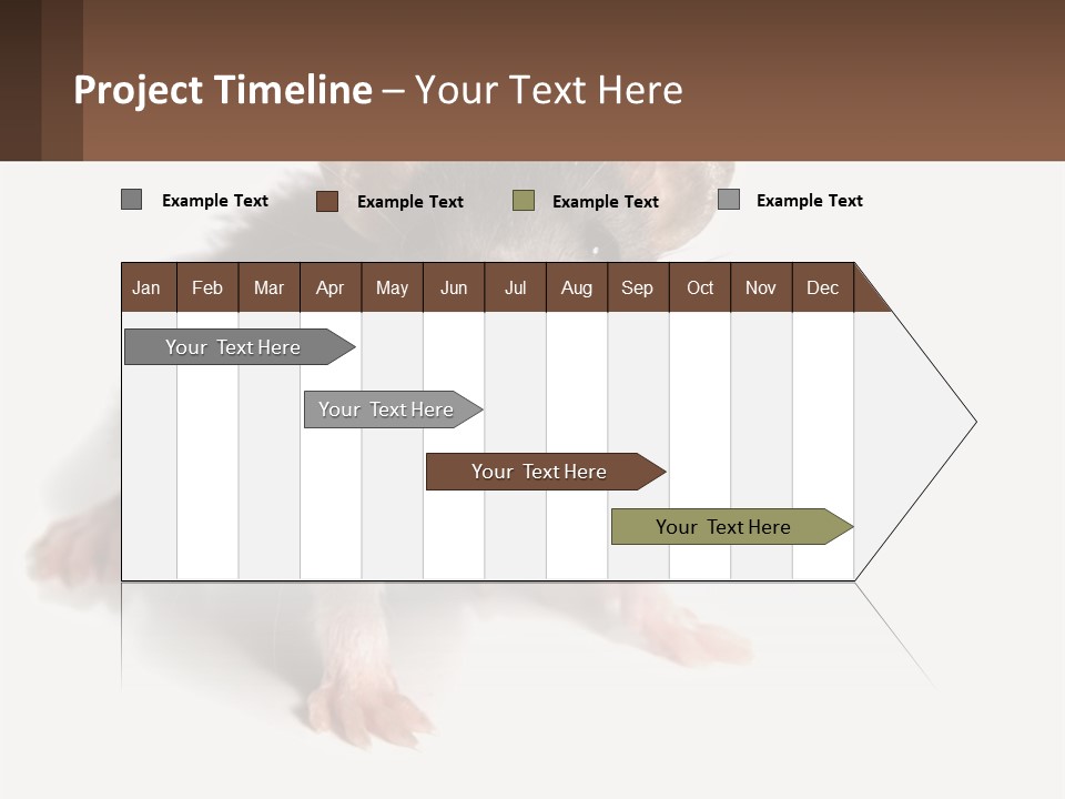 Mother Life Woman PowerPoint Template
