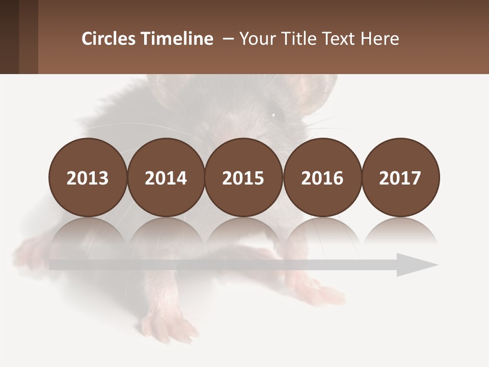 Mother Life Woman PowerPoint Template