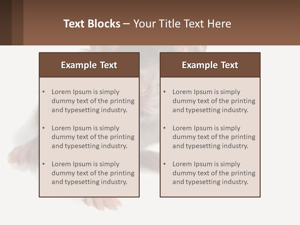 Mother Life Woman PowerPoint Template