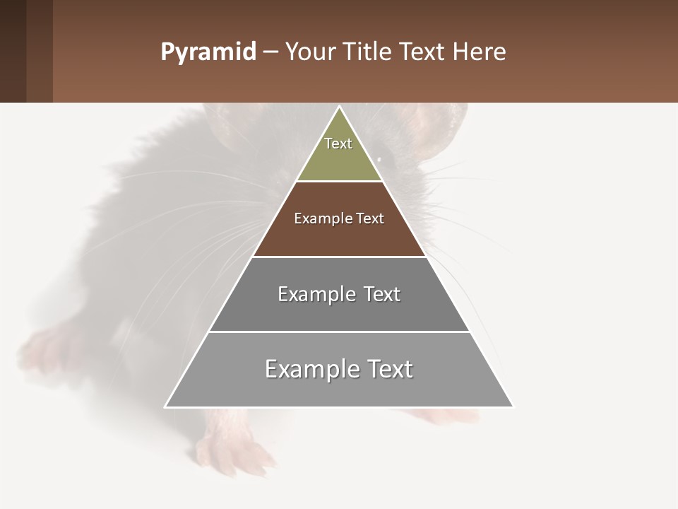 Mother Life Woman PowerPoint Template