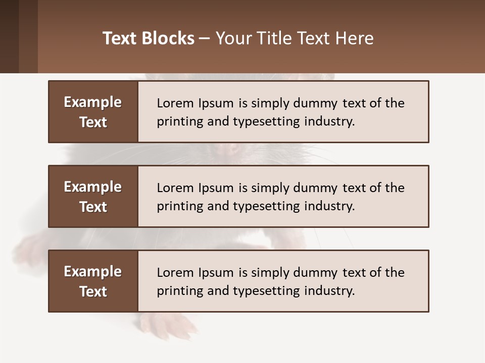 Mother Life Woman PowerPoint Template
