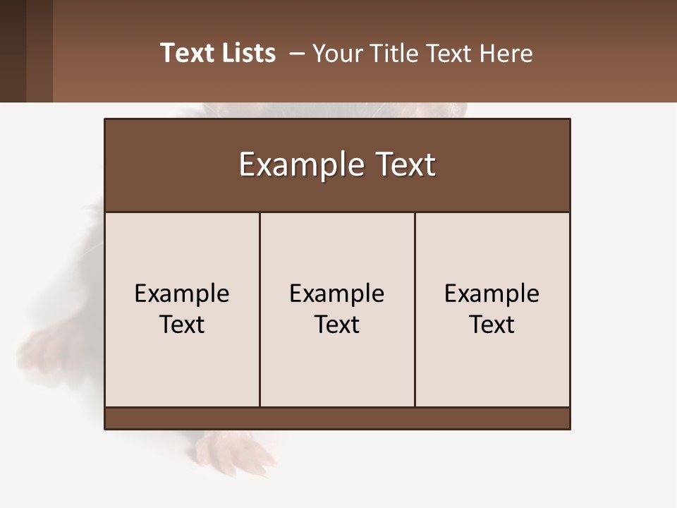 Mother Life Woman PowerPoint Template