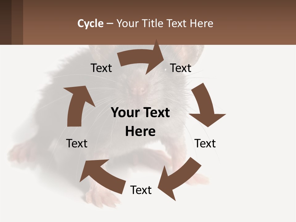 Mother Life Woman PowerPoint Template