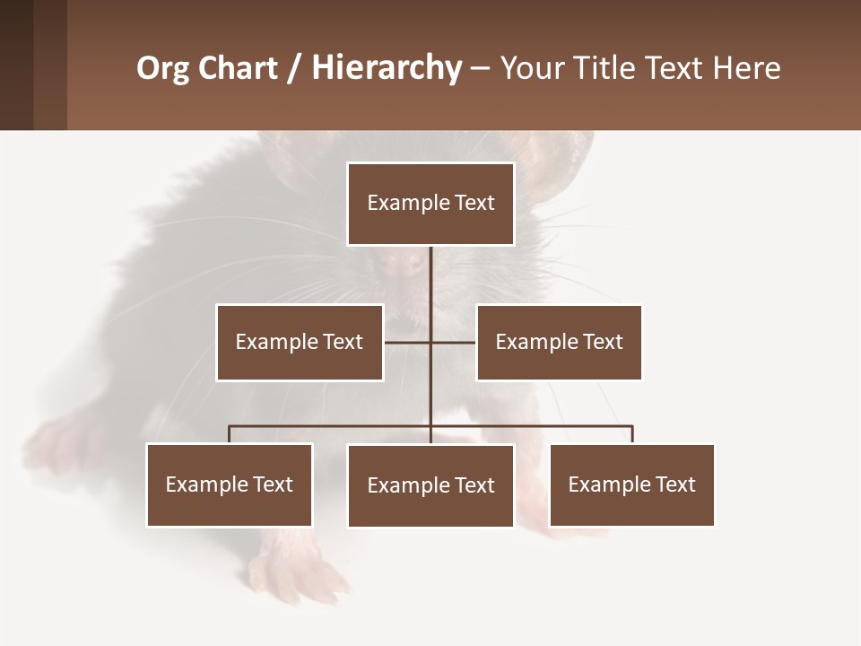 Mother Life Woman PowerPoint Template