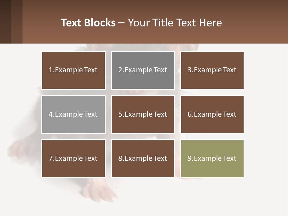 Mother Life Woman PowerPoint Template