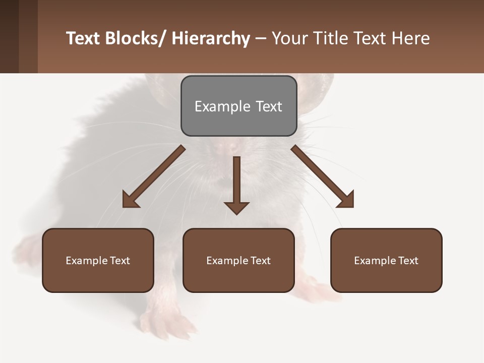 Mother Life Woman PowerPoint Template