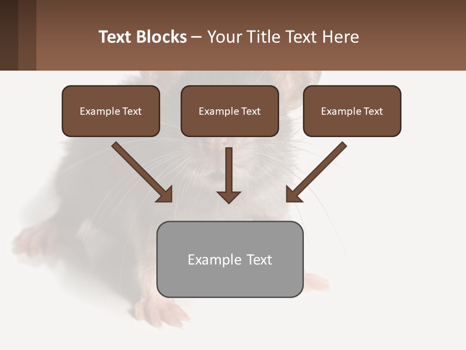 Mother Life Woman PowerPoint Template