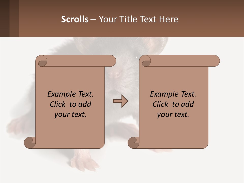 Mother Life Woman PowerPoint Template