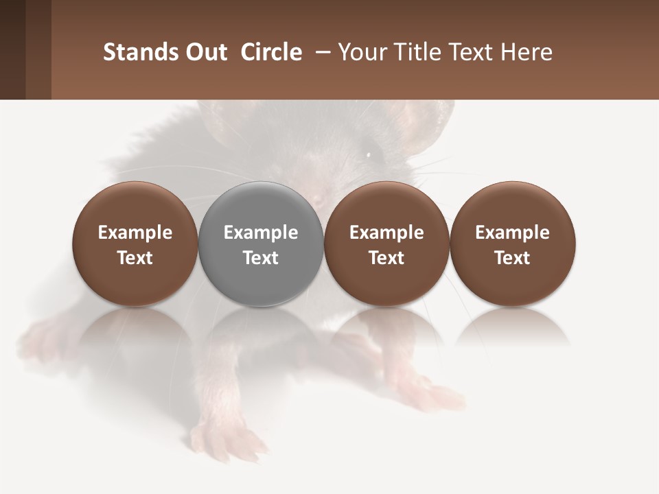 Mother Life Woman PowerPoint Template