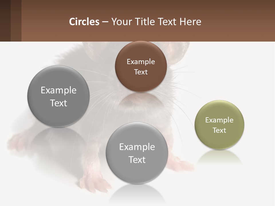 Mother Life Woman PowerPoint Template