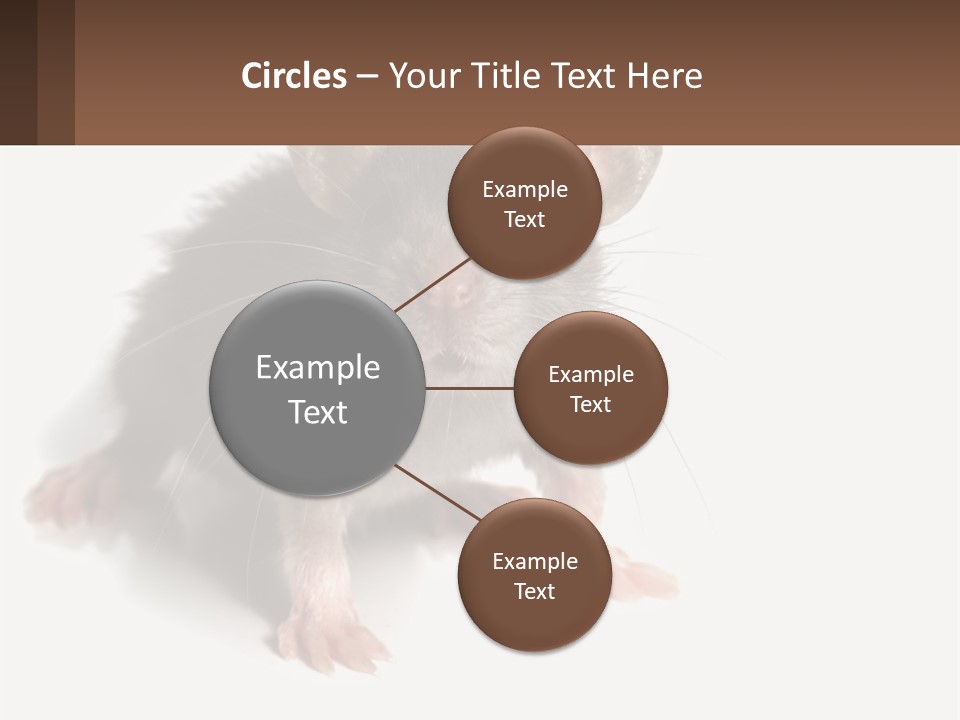 Mother Life Woman PowerPoint Template