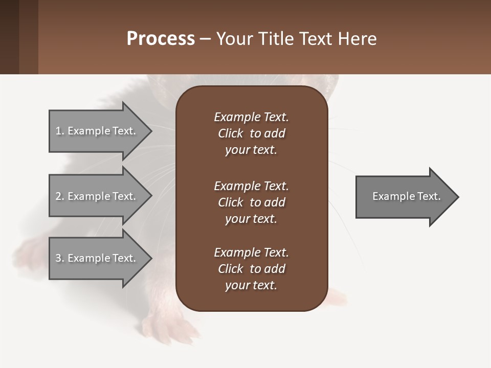 Mother Life Woman PowerPoint Template