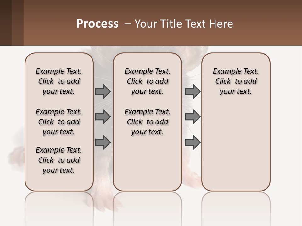 Mother Life Woman PowerPoint Template