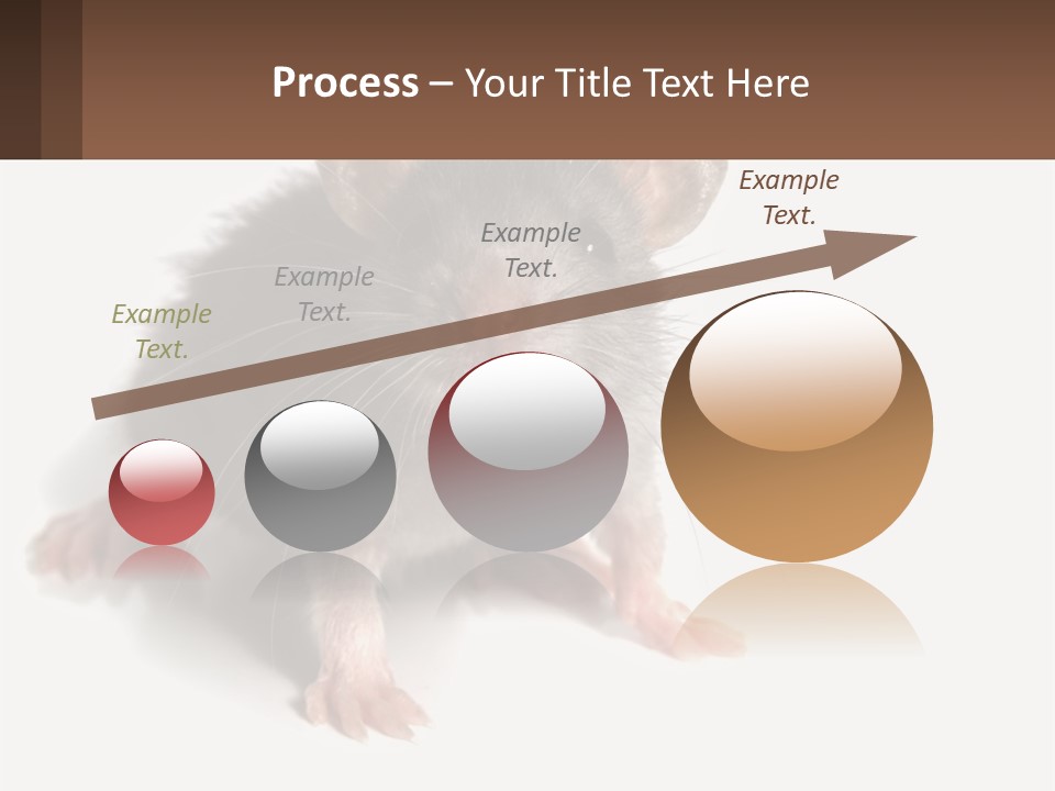 Mother Life Woman PowerPoint Template