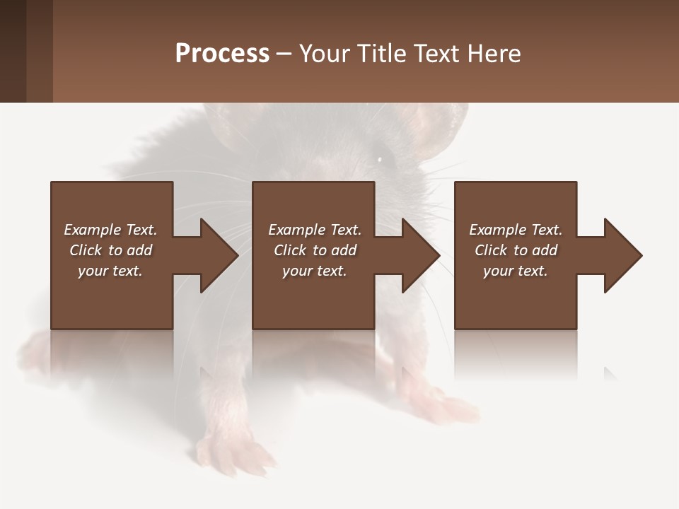 Mother Life Woman PowerPoint Template