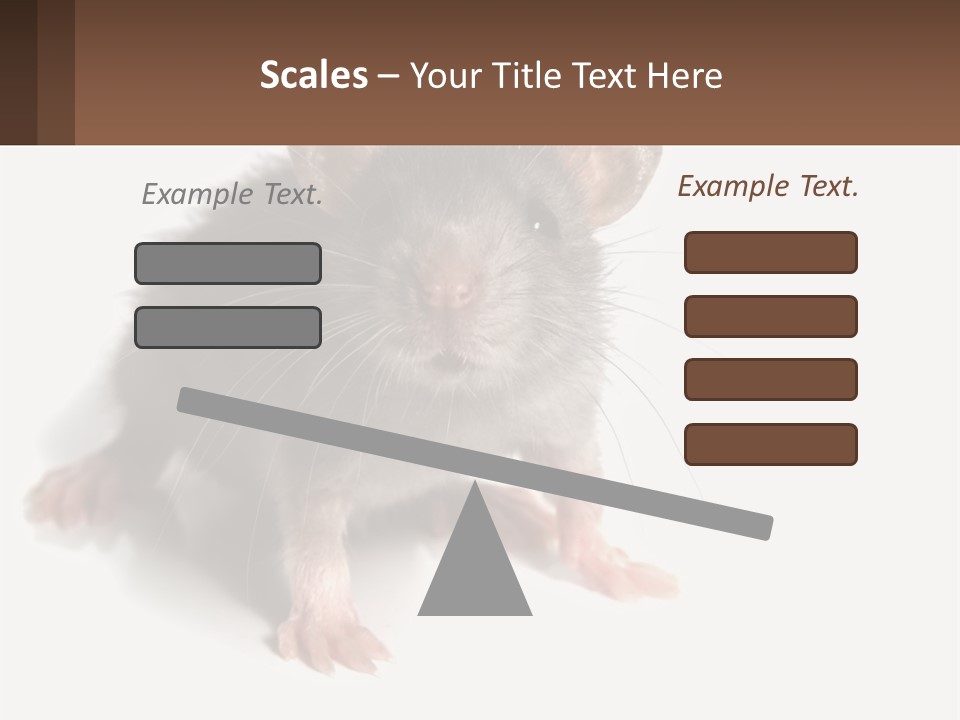 Mother Life Woman PowerPoint Template