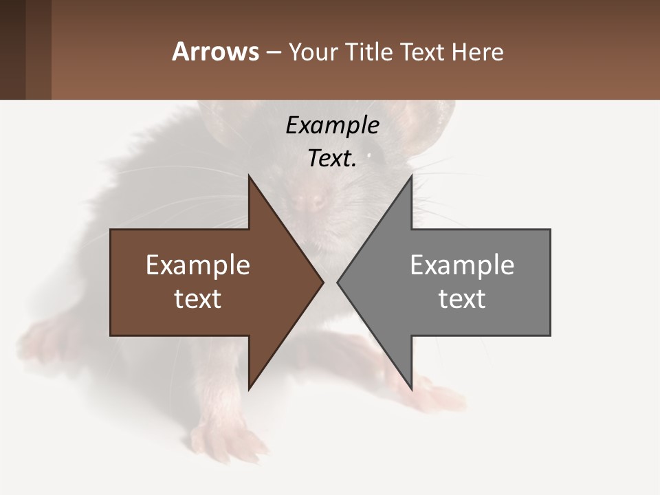 Mother Life Woman PowerPoint Template