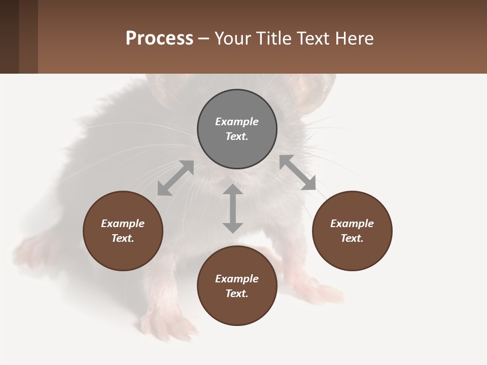 Mother Life Woman PowerPoint Template