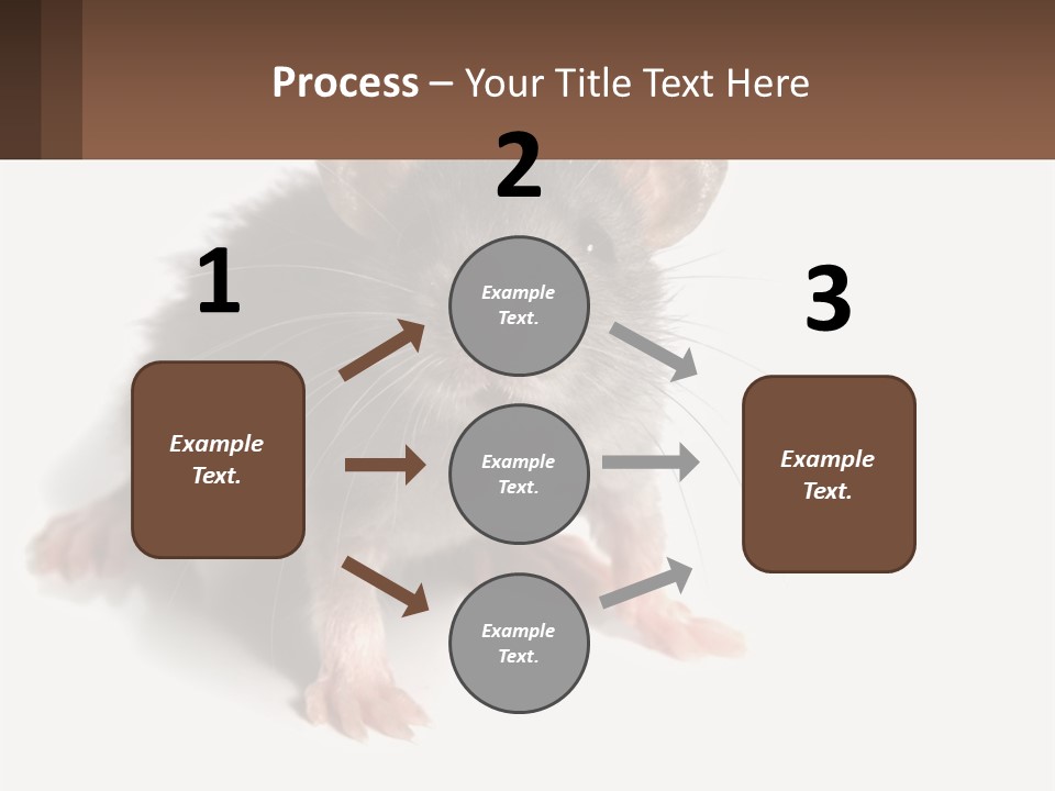 Mother Life Woman PowerPoint Template