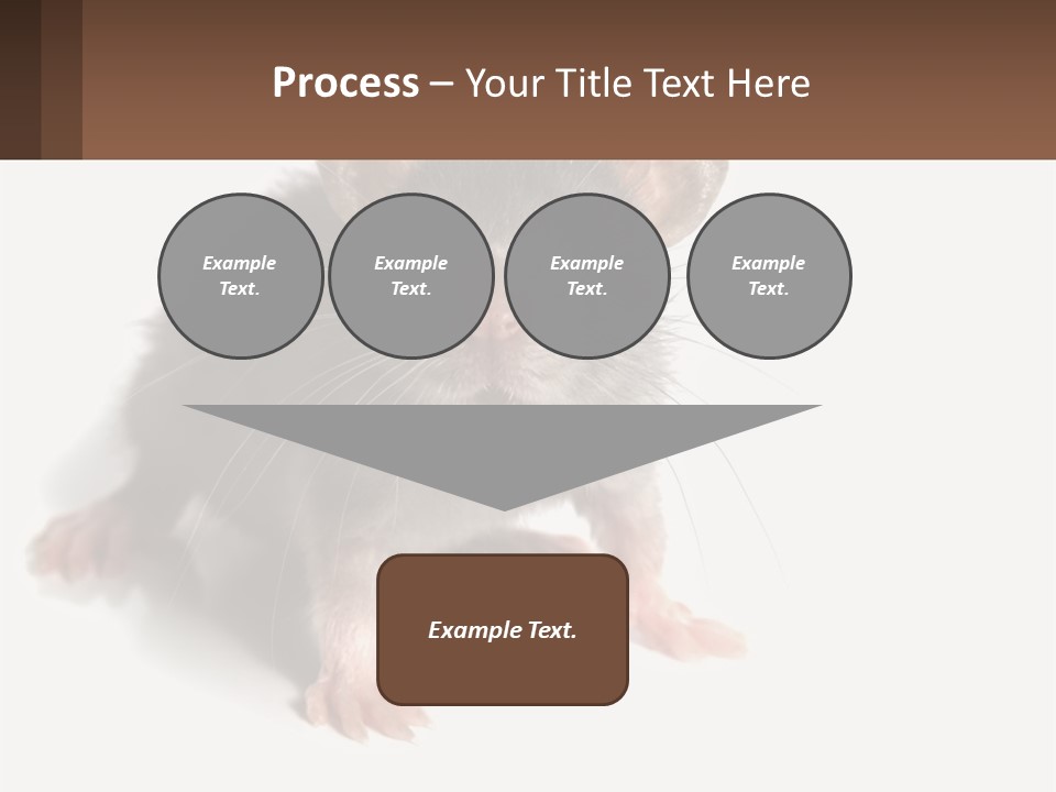 Mother Life Woman PowerPoint Template