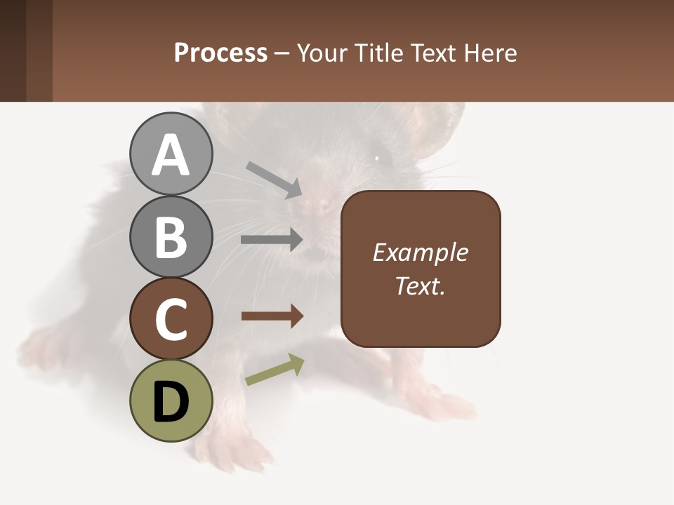 Mother Life Woman PowerPoint Template