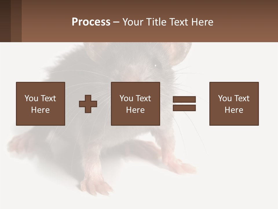 Mother Life Woman PowerPoint Template