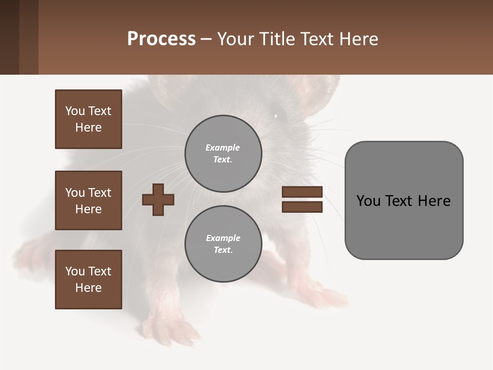 Mother Life Woman PowerPoint Template