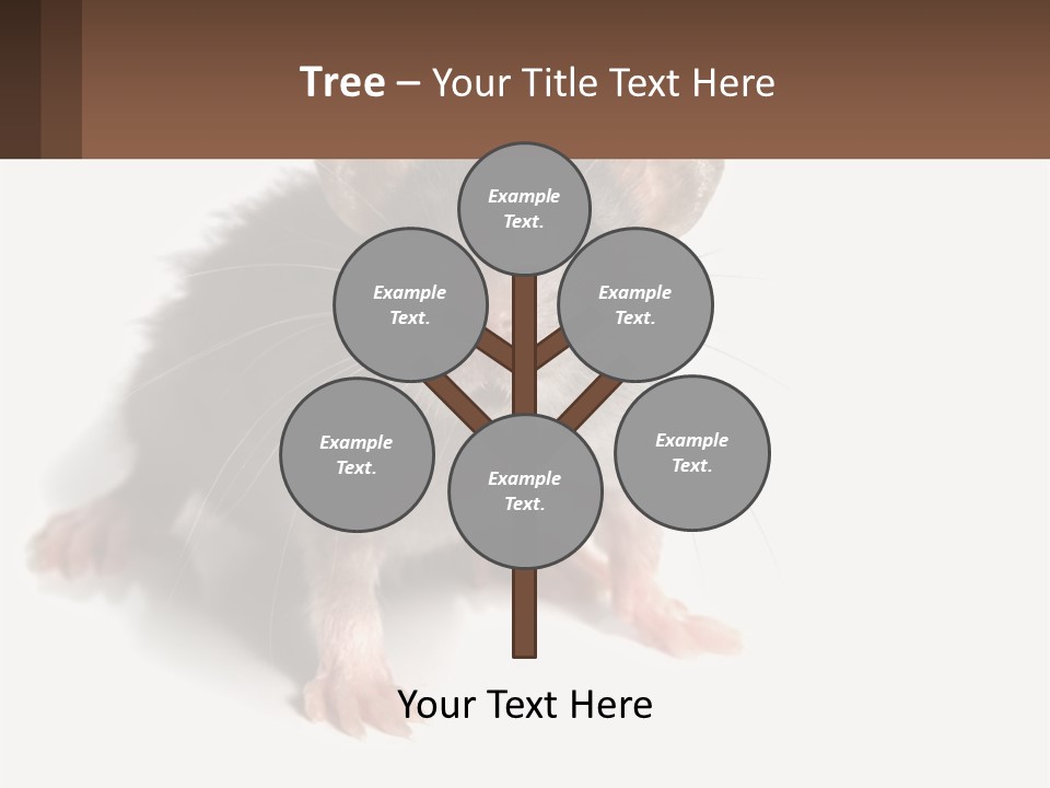 Mother Life Woman PowerPoint Template