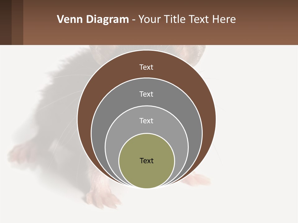 Mother Life Woman PowerPoint Template