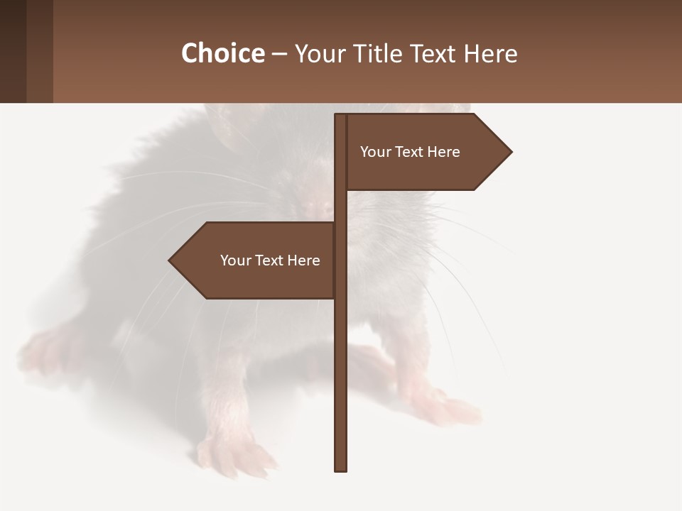 Mother Life Woman PowerPoint Template