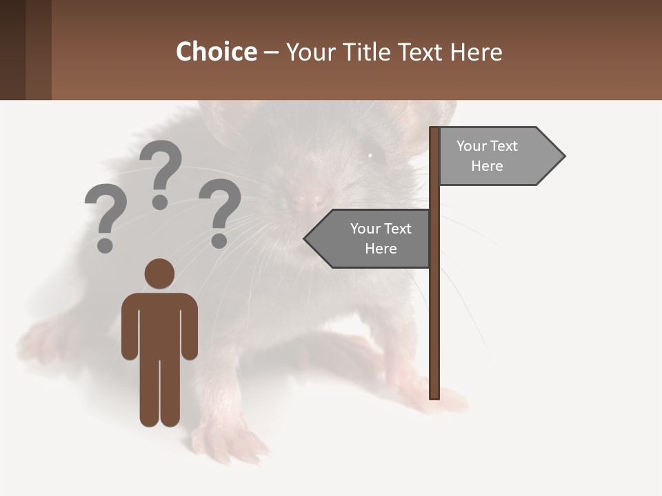 Mother Life Woman PowerPoint Template