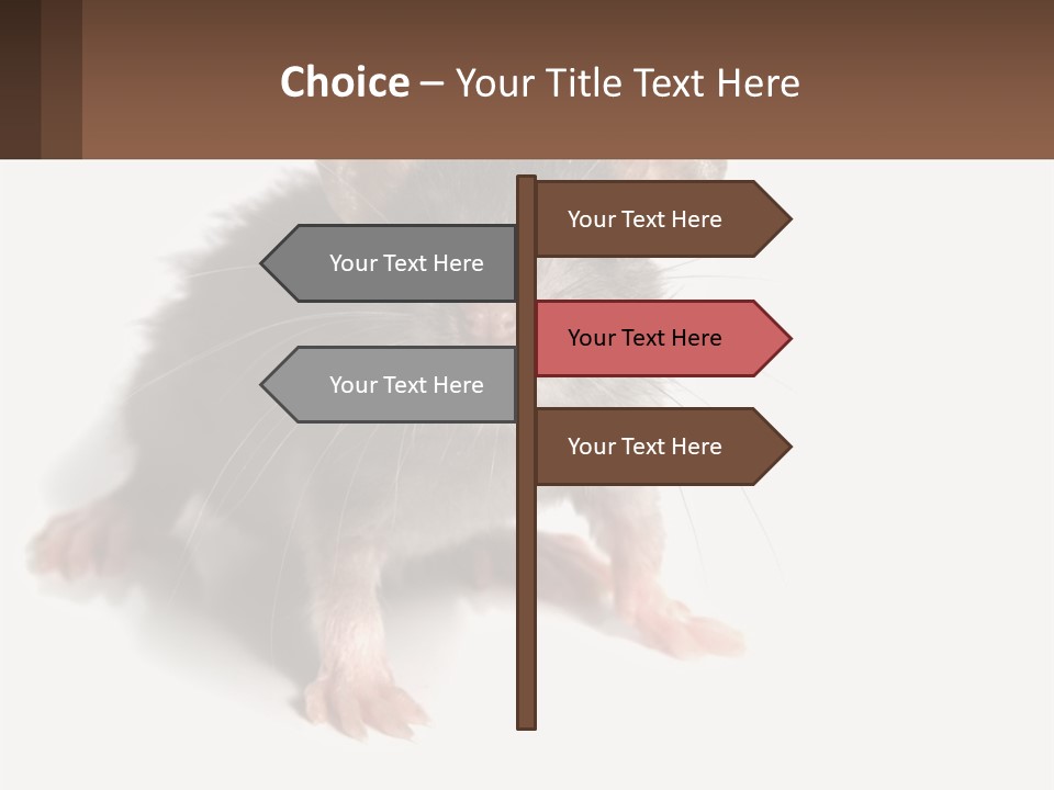 Mother Life Woman PowerPoint Template