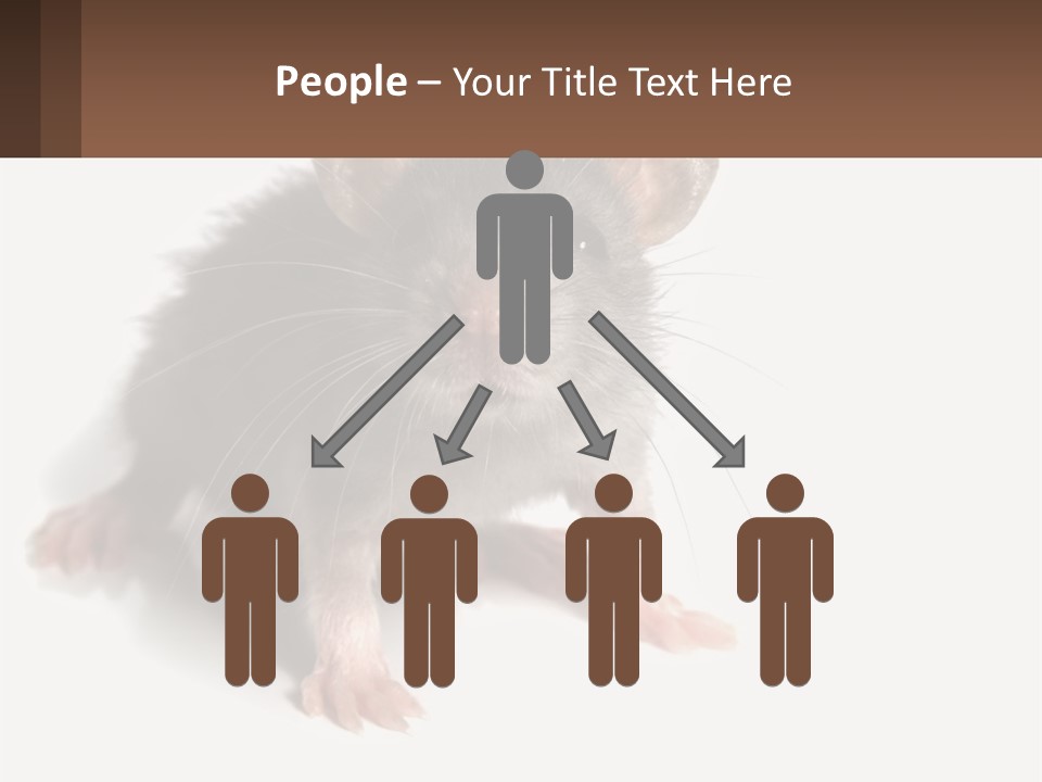 Mother Life Woman PowerPoint Template