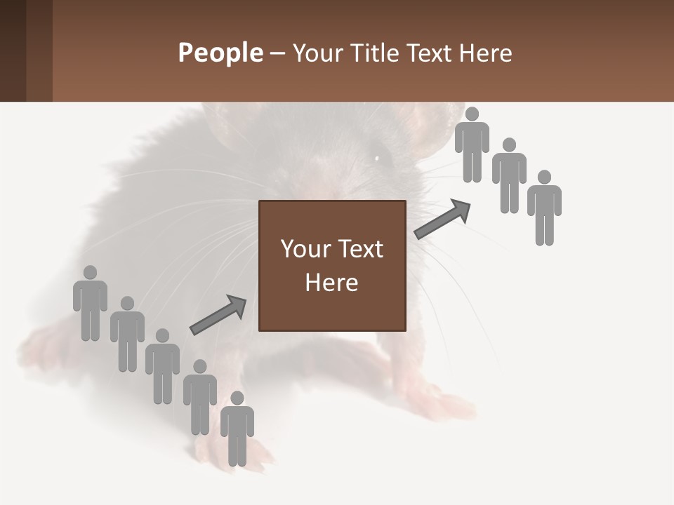 Mother Life Woman PowerPoint Template