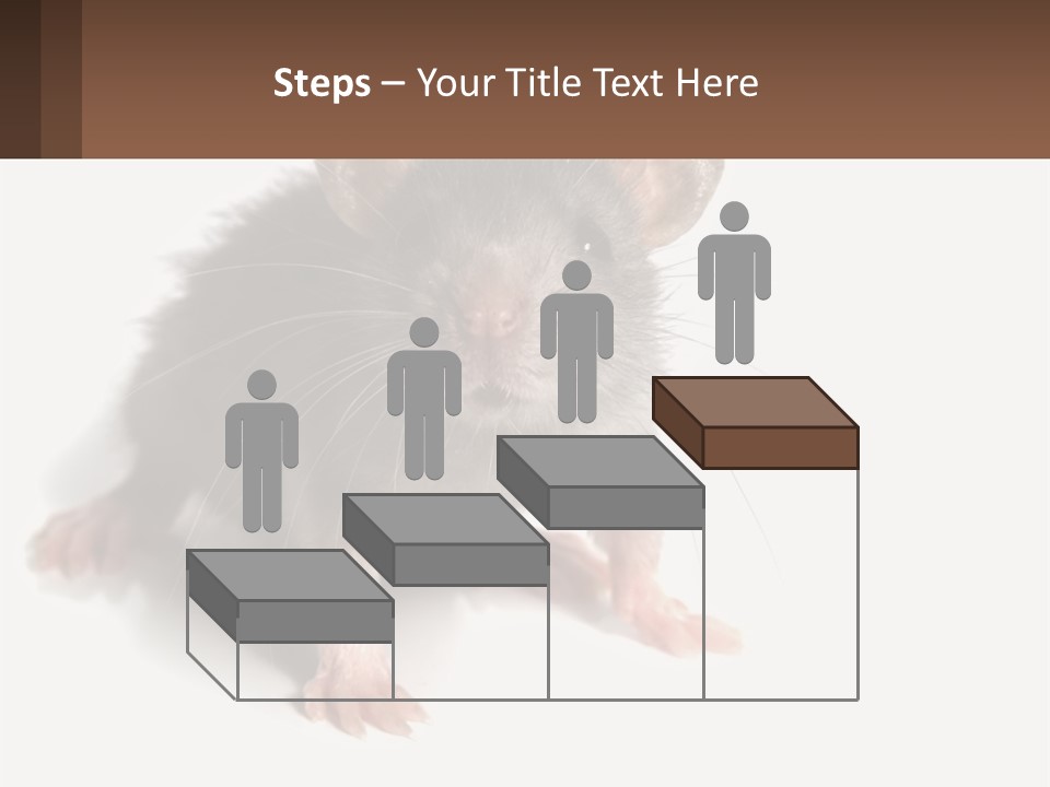 Mother Life Woman PowerPoint Template