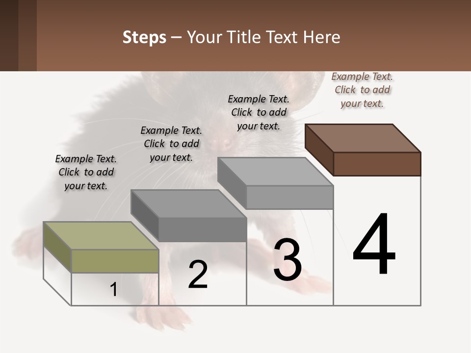 Mother Life Woman PowerPoint Template