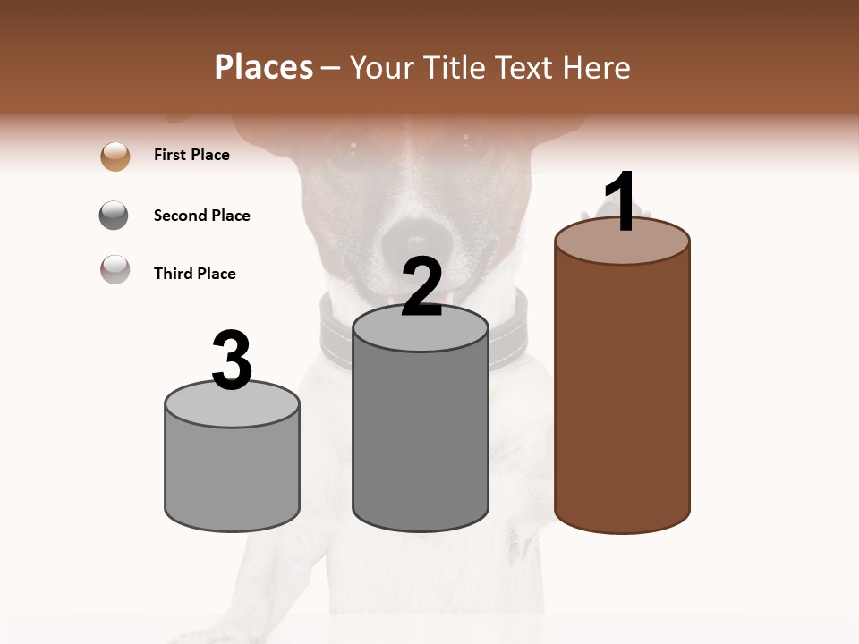 Wellness Portrait Retired PowerPoint Template