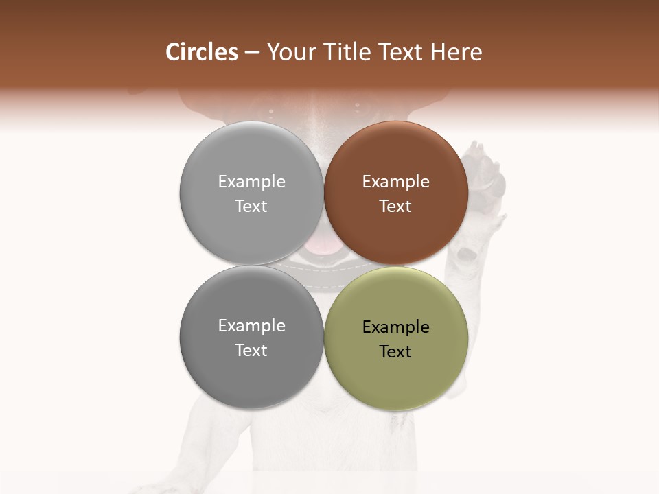 Wellness Portrait Retired PowerPoint Template