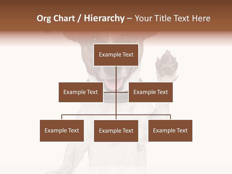 Wellness Portrait Retired PowerPoint Template