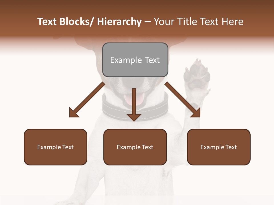 Wellness Portrait Retired PowerPoint Template